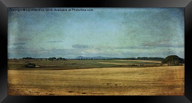  Bennachie Across the Fields Framed Print by LIZ Alderdice