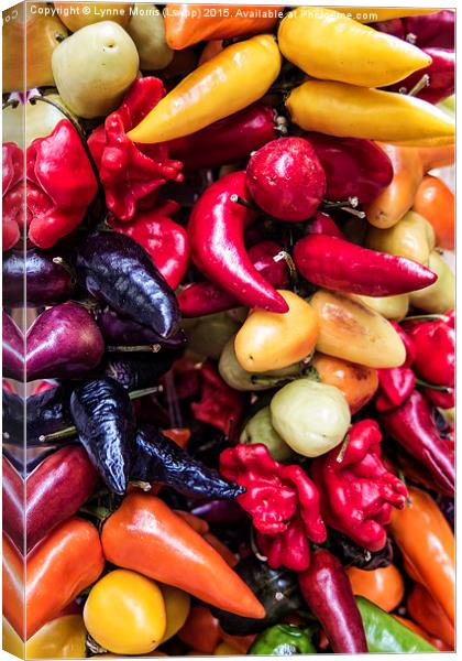  Mixed Peppers Canvas Print by Lynne Morris (Lswpp)
