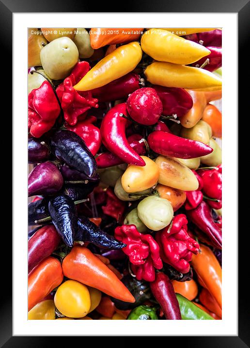  Mixed Peppers Framed Mounted Print by Lynne Morris (Lswpp)