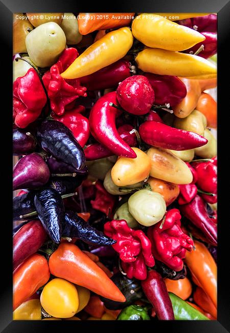  Mixed Peppers Framed Print by Lynne Morris (Lswpp)