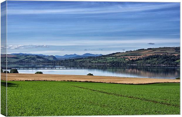  The Cromarty Firth Bridge Canvas Print by Jacqi Elmslie