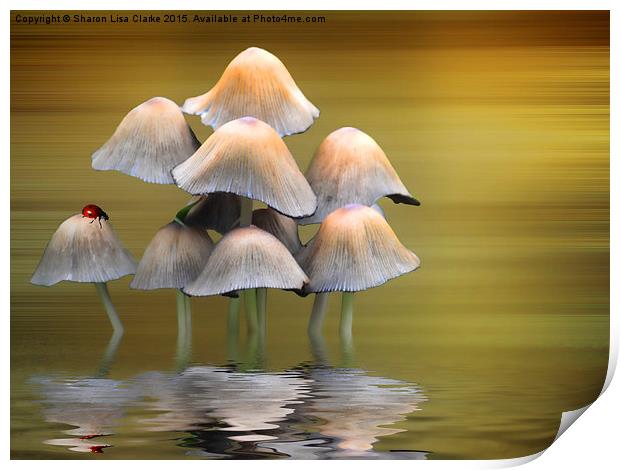  Mushrooms Print by Sharon Lisa Clarke