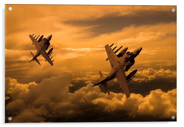  Harriers Sunset High  Acrylic by Oxon Images