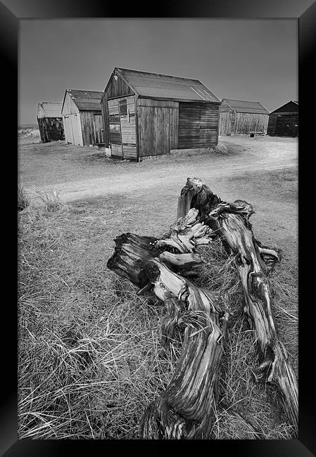 Driftwood and fishermans huts Framed Print by Stephen Mole