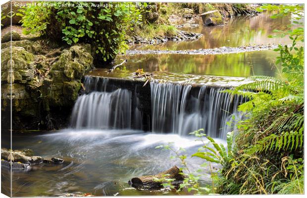  Water Flows in the Forest Canvas Print by Bryan Condie