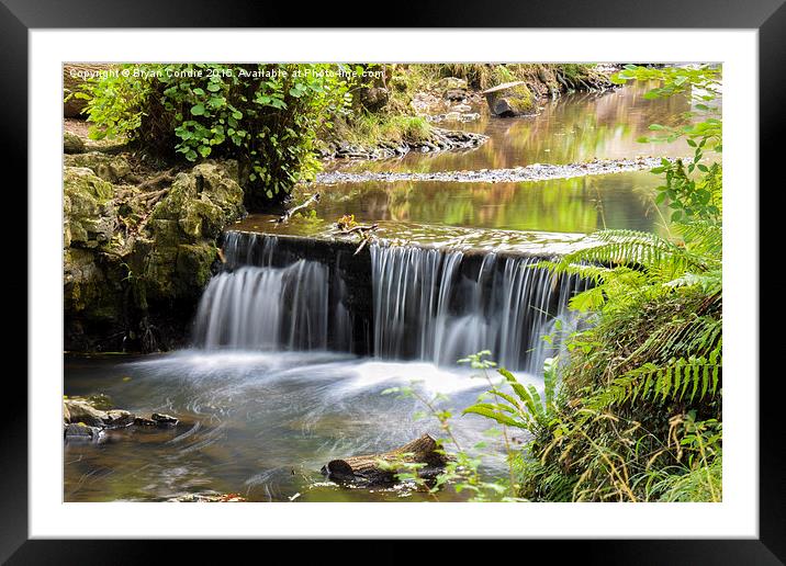  Water Flows in the Forest Framed Mounted Print by Bryan Condie