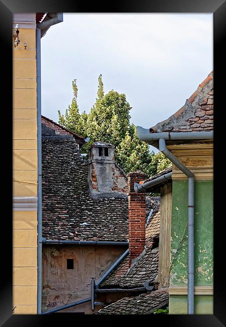 Old Roofs in Old Town Sibiu Romania Framed Print by Adrian Bud