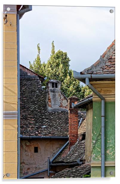 Old Roofs in Old Town Sibiu Romania Acrylic by Adrian Bud