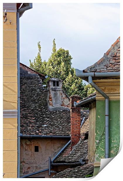 Old Roofs in Old Town Sibiu Romania Print by Adrian Bud