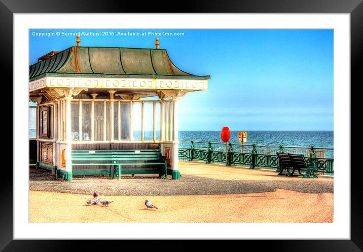  A Pigeon's Day Out Framed Mounted Print by Bernard Akehurst