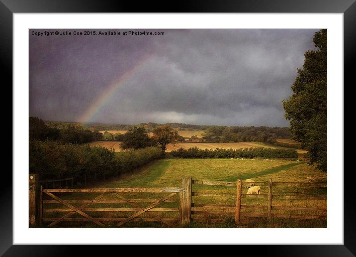 After The Rain Framed Mounted Print by Julie Coe