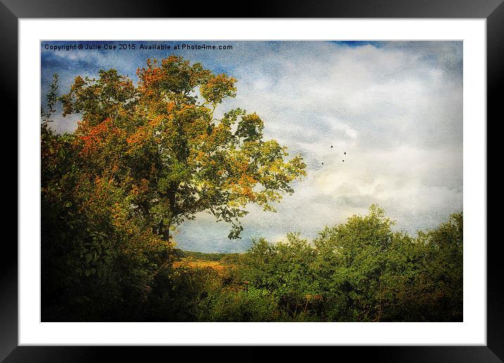 Bunkers Hill 40 Framed Mounted Print by Julie Coe