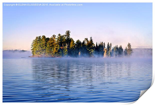 Island in lake with morning fog Print by ELENA ELISSEEVA