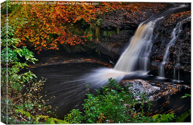  Hamsterley Forest waterfall in Autumn Canvas Print by Martyn Arnold