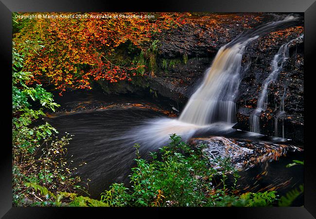 Hamsterley Forest waterfall in Autumn Framed Print by Martyn Arnold