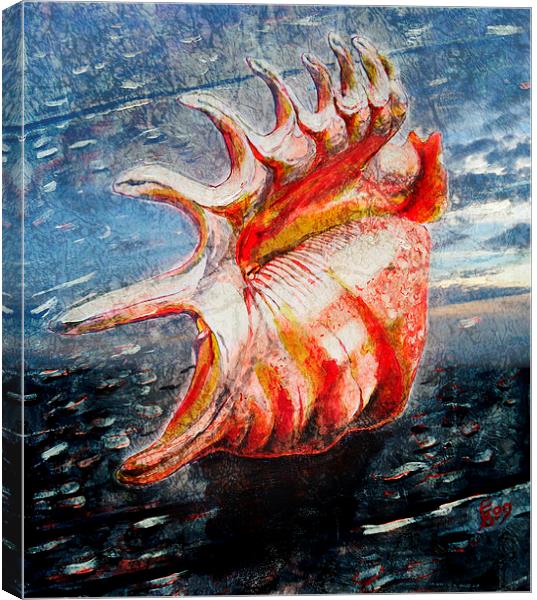  Shell Canvas Print by Florin Birjoveanu