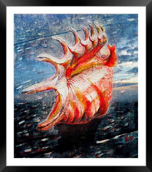  Shell Framed Mounted Print by Florin Birjoveanu