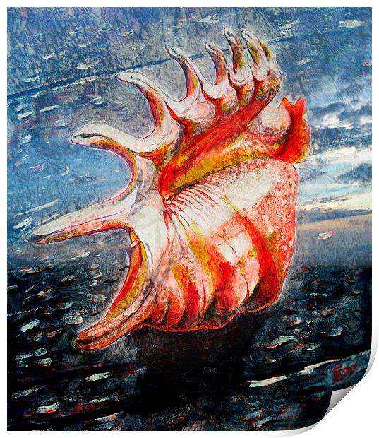  Shell Print by Florin Birjoveanu