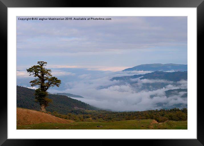 Morning view in jungle 2, Framed Mounted Print by Ali asghar Mazinanian