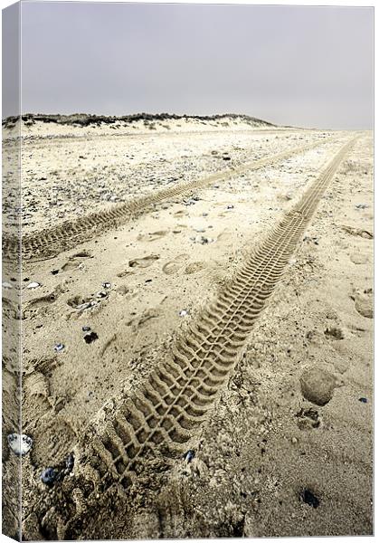 Tracks in the sand Canvas Print by Stephen Mole