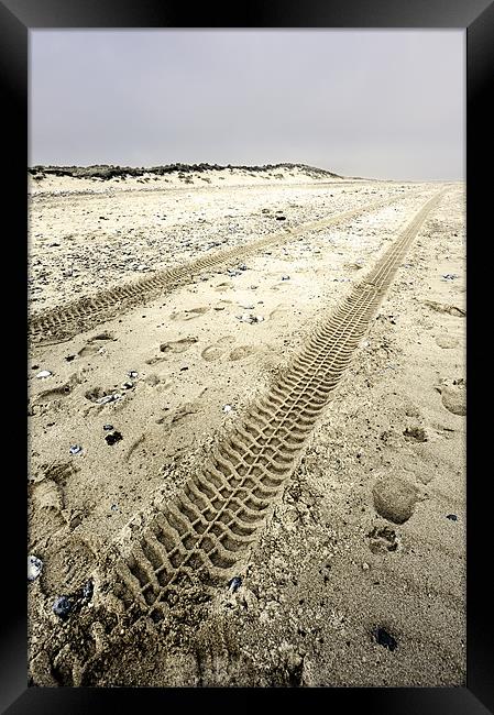 Tracks in the sand Framed Print by Stephen Mole
