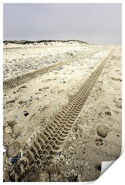 Tracks in the sand Print by Stephen Mole