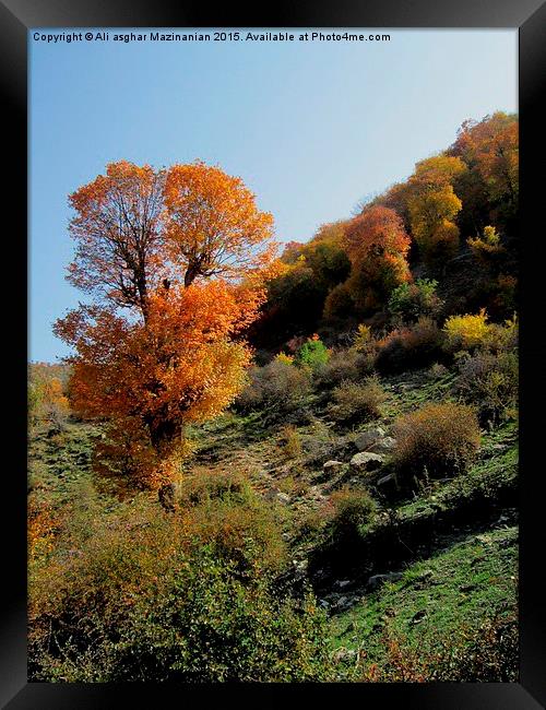  The beauties of Autumn, Framed Print by Ali asghar Mazinanian