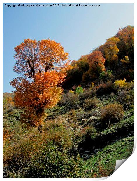  The beauties of Autumn, Print by Ali asghar Mazinanian