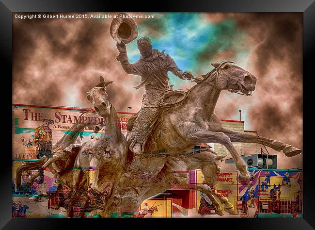  The Calgary Stampede Canada Framed Print by Gilbert Hurree