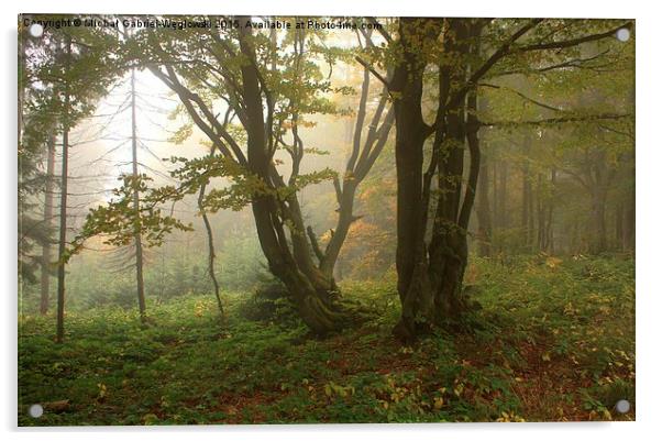 Beskid Sądecki Mountains /Poland/ Acrylic by Michał 