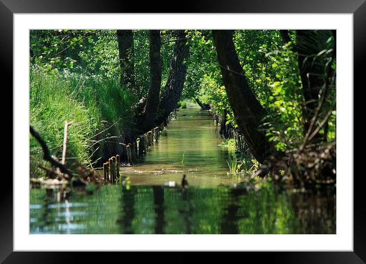  Thank you, river... Framed Mounted Print by Michał 
