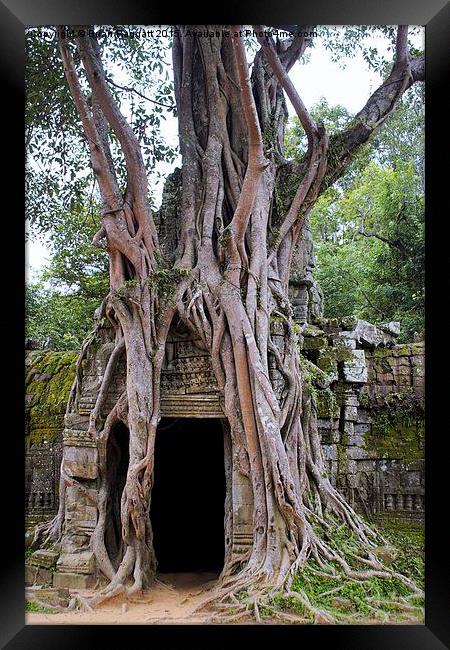  Angkor Temple Ta Prohm Siem Reap Cambodia Framed Print by Brian  Raggatt