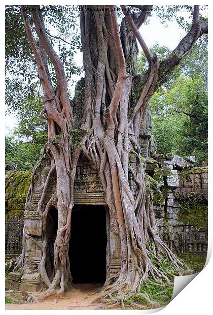  Angkor Temple Ta Prohm Siem Reap Cambodia Print by Brian  Raggatt
