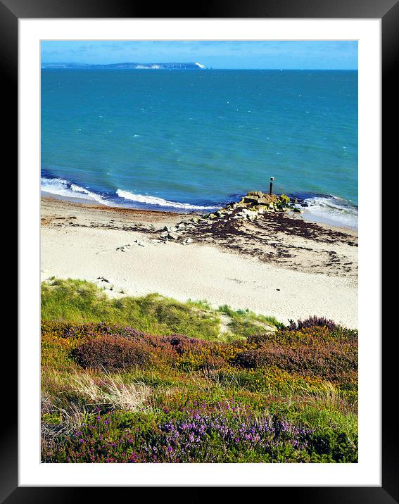  Bournemouth Beach  Framed Mounted Print by Andy Armitage