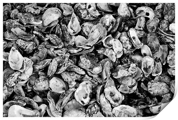  Oyster Shells Print by Paul Rayment
