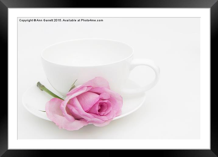 Pink Rose with a White Teacup and Saucer Framed Mounted Print by Ann Garrett