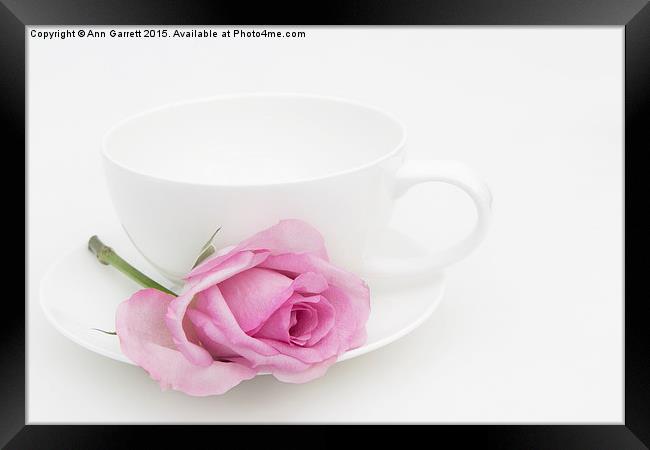 Pink Rose with a White Teacup and Saucer Framed Print by Ann Garrett