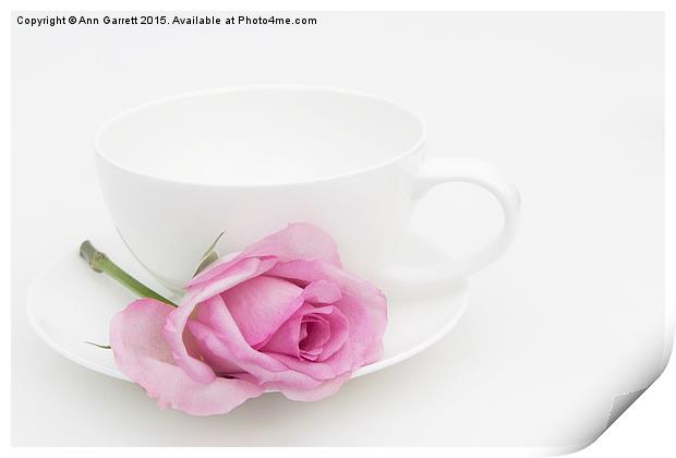 Pink Rose with a White Teacup and Saucer Print by Ann Garrett