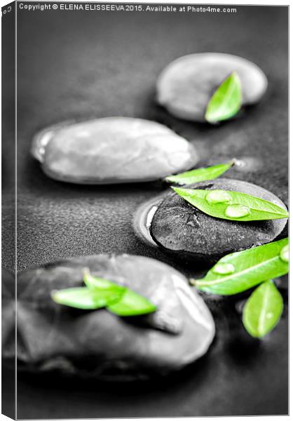 Zen stones Canvas Print by ELENA ELISSEEVA