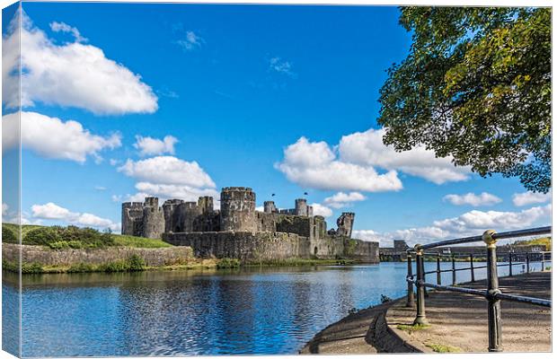 Caerphilly Castle 1 Canvas Print by Steve Purnell