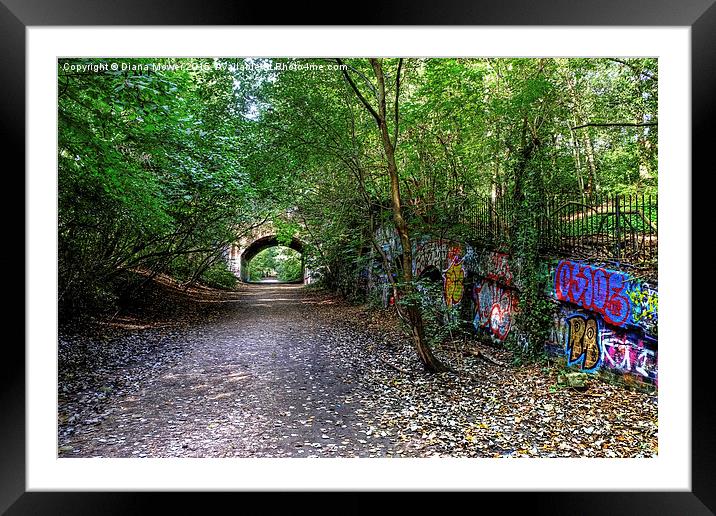  Parkland Walk London Framed Mounted Print by Diana Mower