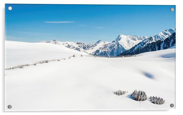 Austrian Alps Acrylic by Beata Aldridge