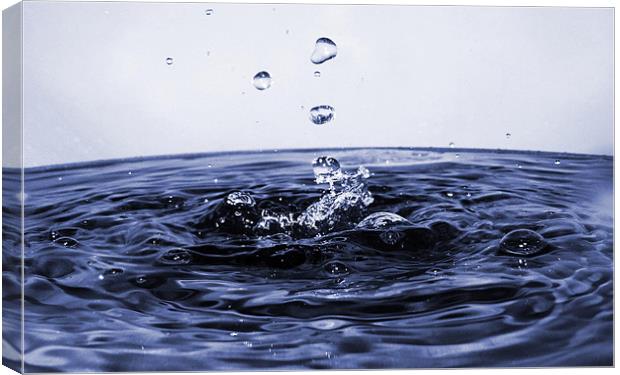 water droplet Canvas Print by Ankitesh JHA