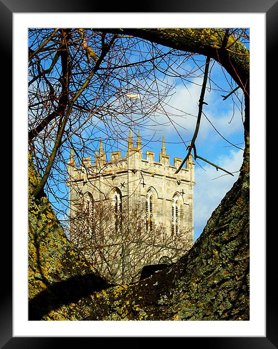 Religious tree Framed Mounted Print by Chris Day