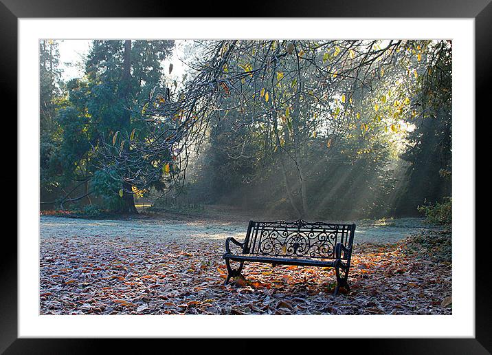 Bench Framed Mounted Print by Oxon Images