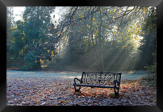 Bench Framed Print by Oxon Images