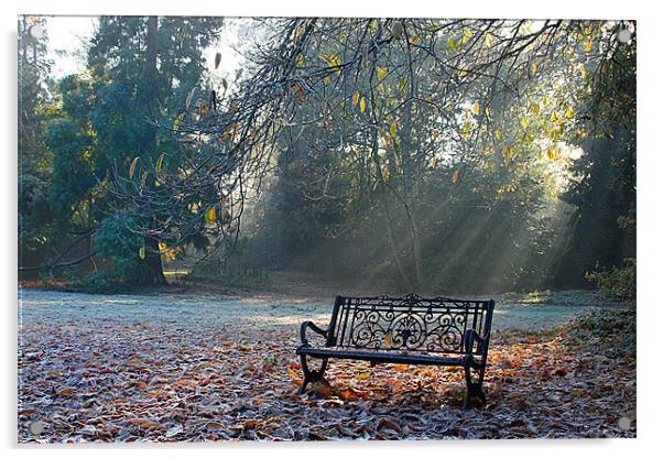 Bench Acrylic by Oxon Images