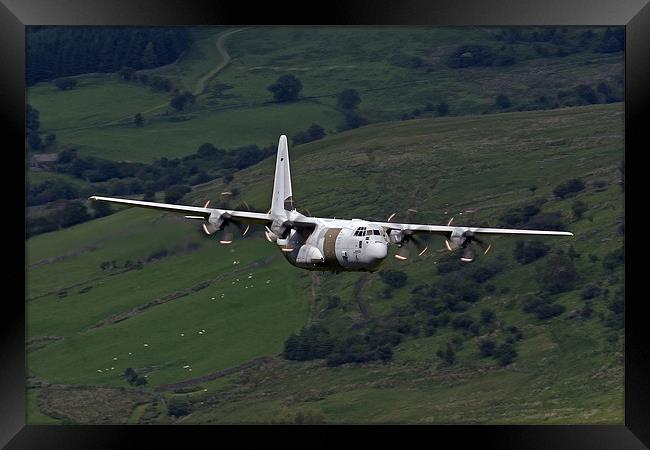 C130 Hercules 888 Framed Print by Oxon Images