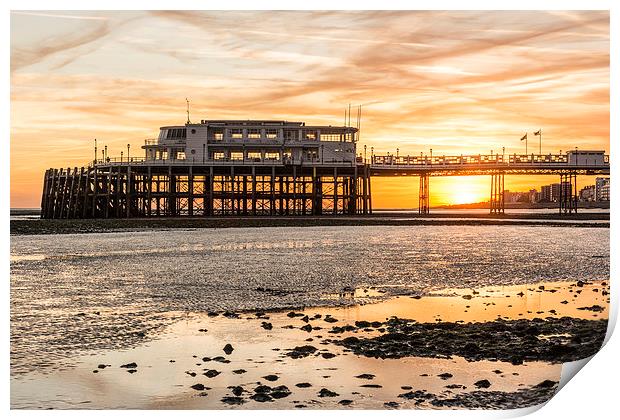 Crawling out to sea Print by Malcolm McHugh