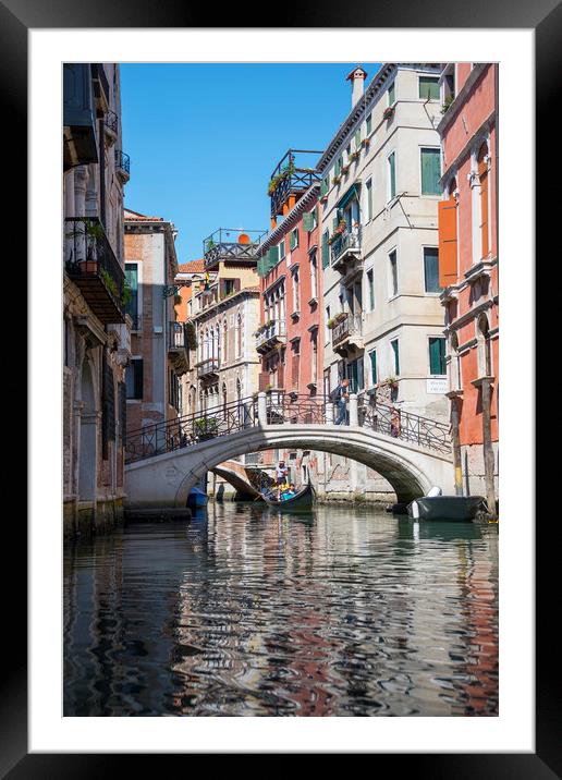  Living in Venice Framed Mounted Print by Svetlana Sewell